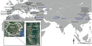 Descoperirea istorică a fosilelor primilor oameni din Europa la Grăunceanu, România